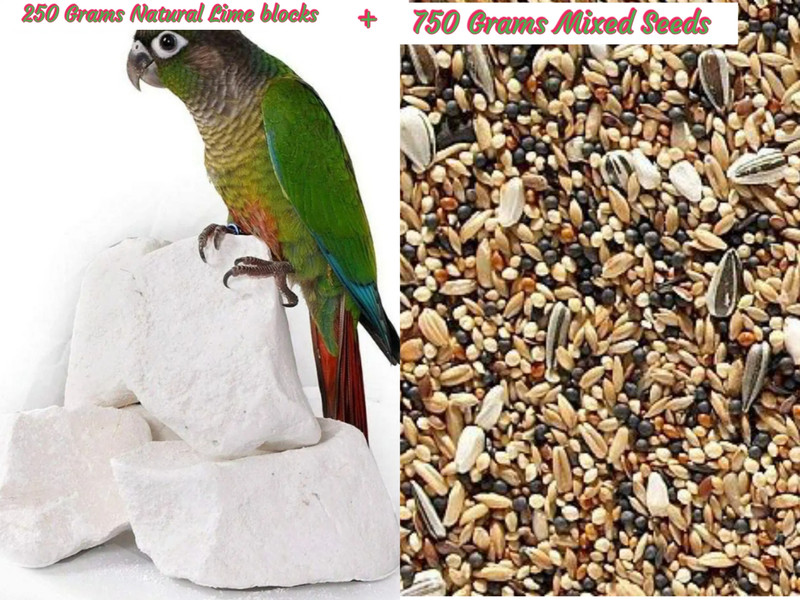 rayyans BIRDS FOOD Nuts 1 kg Dry Young Bird Food