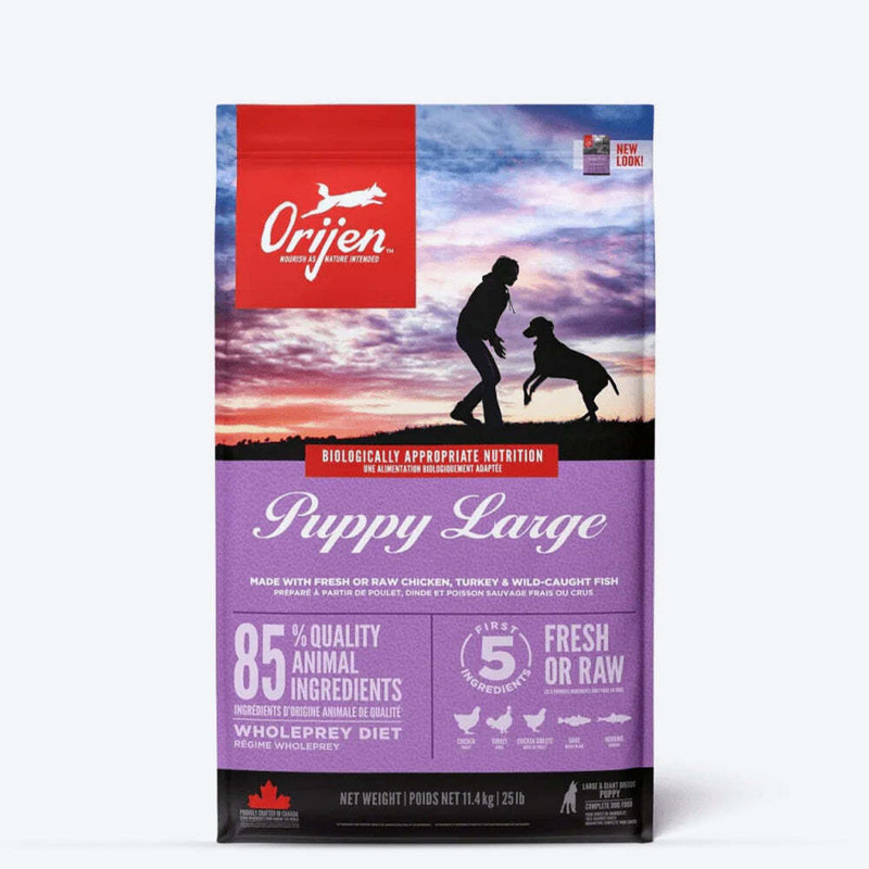 Orijen Large Breed Puppy Food Chicken 11.4 kg Dry New Born Dog Food