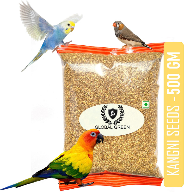 GLOBAL GREEN Premium Foxtail Millet (Medium Kangni) 0.5 Kg for love bird, budgie, java etc. 0.5 kg Dry Adult, New Born, Senior, Young Bird Food