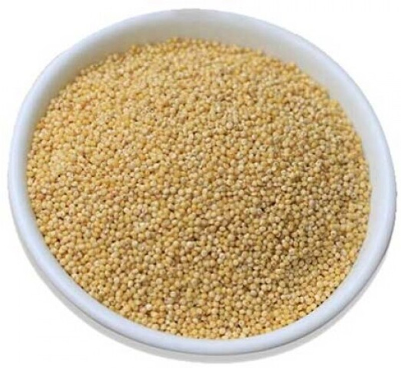 Jj clawsome Kangni Seeds Nuts Natural Birds Foods for Cockatiel, Love Birds 0.5 kg Dry All Life Stages Bird Food