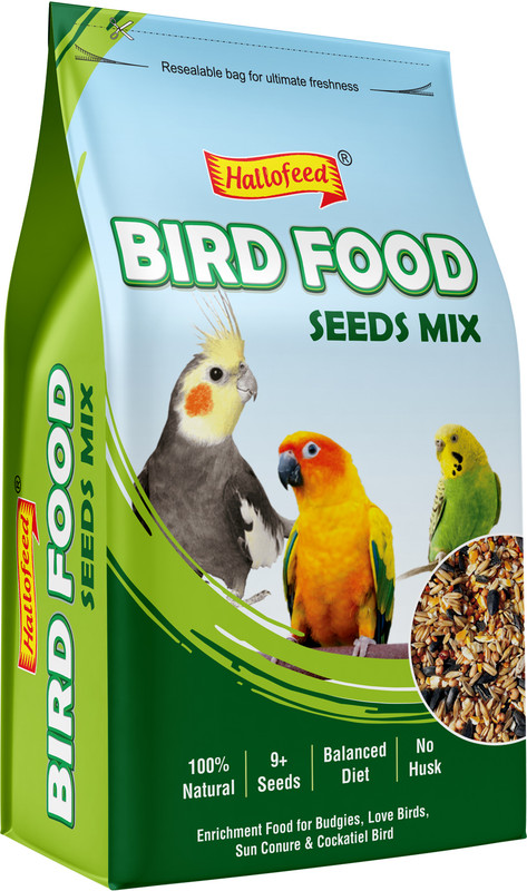 Hallofeed BIRD FOOD 500 gm (Sunflower seed) for Budgies , Parrots 0.5 kg Dry Adult, Senior, Young Bird Food