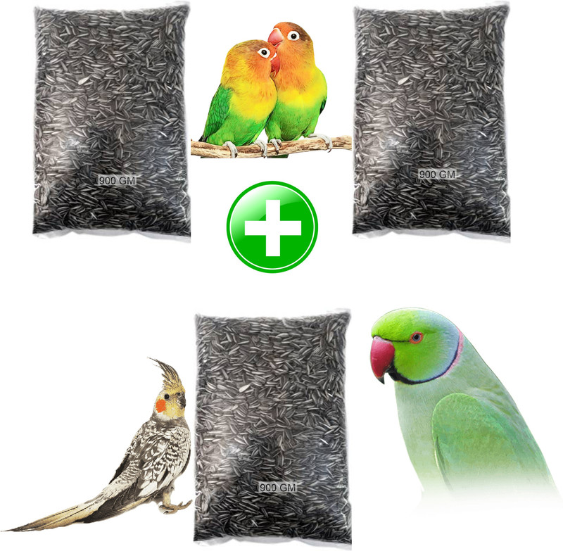 Parrots Wizard Small size Strip Sunflower seeds 3 pack 2.7 kg Dry New Born, Young, Adult Bird Food