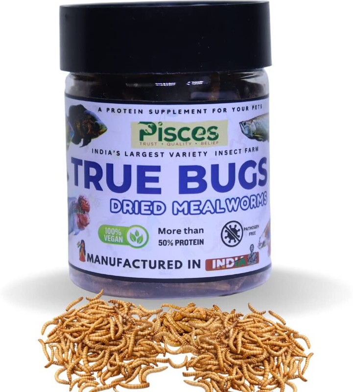 Pisces True Bugs Dry Mealworms 100ml – High Protein Food for All Aquarium Fish & Birds 0.1 kg Dry All Life Stages Fish Food