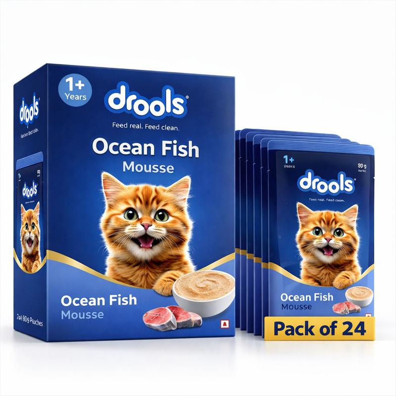 Drools Salmon Mousse Gravy Adult Pack of 24 Salmon 1.92 kg (24x0.08 kg) Wet Adult Cat Food