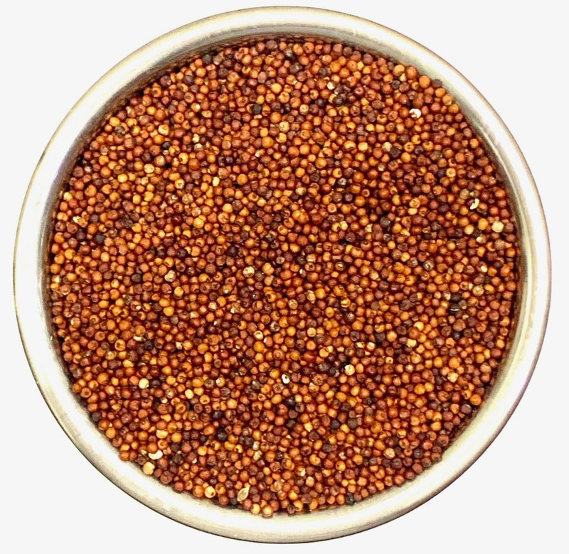 A G ORGANICS RED Foxtail Millet Seeds (RED Kangni Seed), Bird Food for Budgies 500 GMS 0.5 kg Dry Adult Bird Food