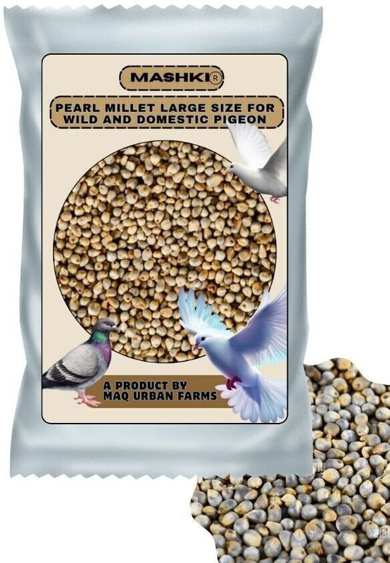 MASHKI Pearl millet Bajra or Kambu in bird food Nuts 0.18 kg Dry Adult, Young Bird Food