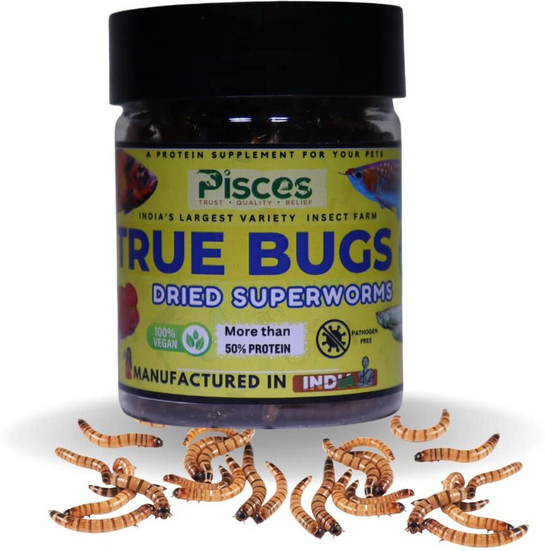 Pisces True Bugs Dry Superworms 100ml – High Protein Food for All Aquarium Fish & Birds 0.1 kg Dry All Life Stages Fish Food