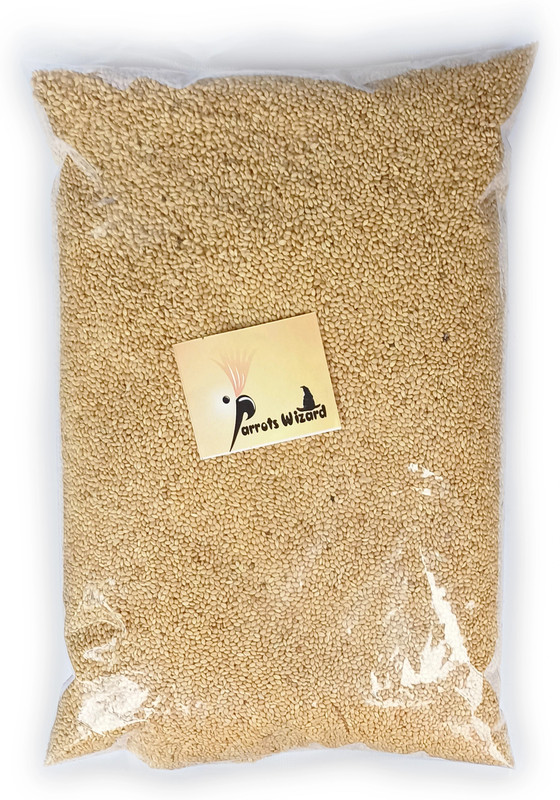 Parrots Wizard Small Size Kangni Seed for Small Bird 0.45 kg Dry Adult Bird Food