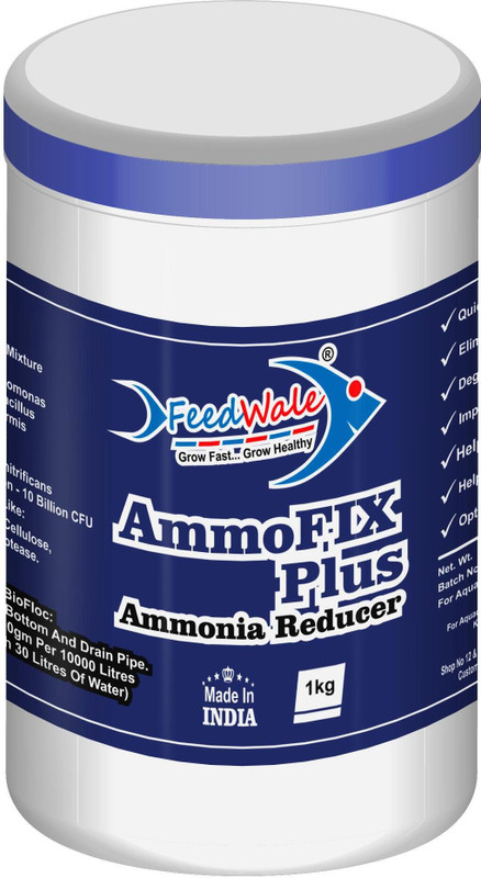 FeedWale AmmoFIX Plus Ammonia Reducer Fish 1 kg Dry New Born, Young, Adult Fish Food