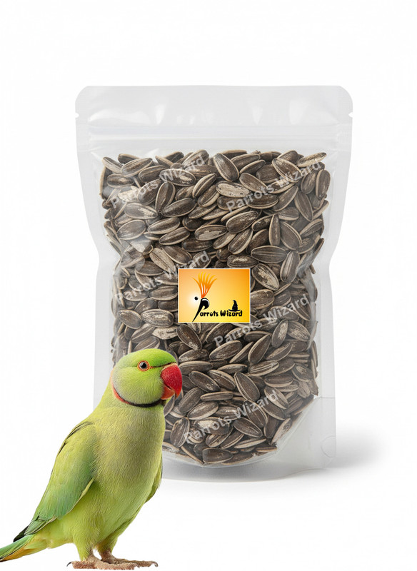 Parrots Wizard new big sunflower 450 Nuts 0.45 kg Dry Adult, Young, Senior Bird Food