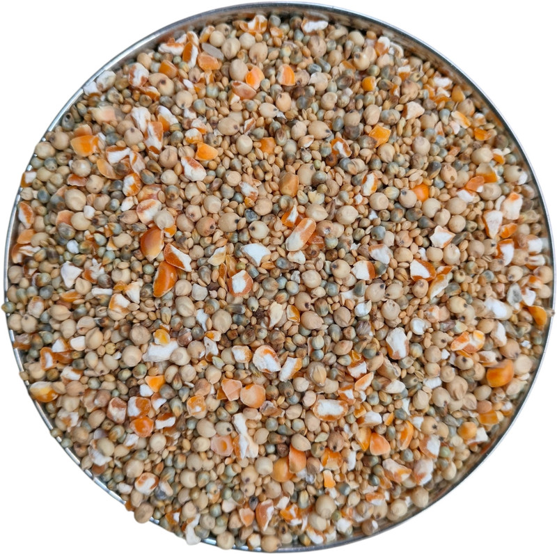 Sujavan Bird Feed Mix | Bajra, Jowar, Corn & Kangni | For Sparrows, Pigeons & Wild Birds 1 kg Dry Adult, Senior, Young Bird Food