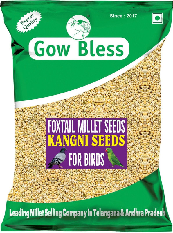Gow Bless Foxtail Millet Kangni seed Bird Yellow Milletfood for Lovebirds Cockatiels 4 kg Dry All Life Stages Bird Food