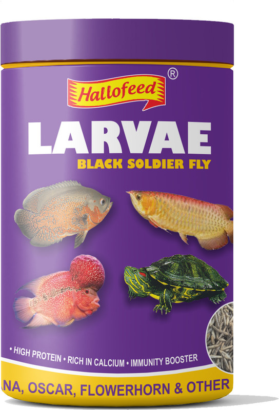 Hallofeed Black Soldier Fly Larvae -20gm Food for Arowana, Flower horn,oscar Mealworm Mealworm 0.02 kg Dry Adult, Senior, Young Fish Food