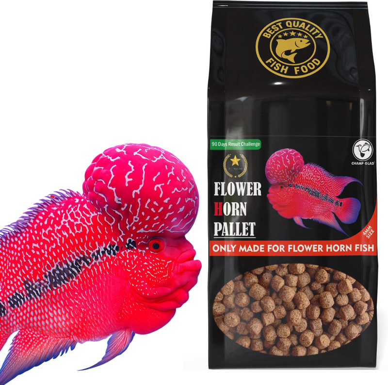 CHAMP GLAD Flowerhorn Fish Food – High Protein Floating Pellets 100g 4mm Fish 0.1 kg Dry Adult Fish Food