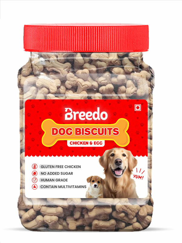 Breedo Dog Food Treat || Healthy Chicken & EGG Real Chicken Flavour Dog Biscuits Chicken 0.4 kg Dry Adult, New Born, Senior, Young Dog & Cat Food