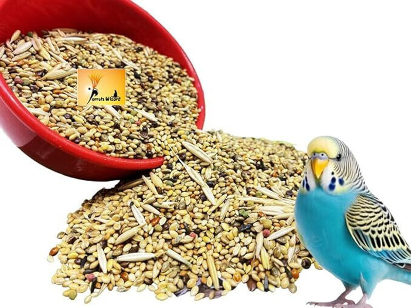 Parrots Wizard Love Birds Special Breeding Diet 0.9 kg Dry New Born, Adult, Young, Senior Bird Food