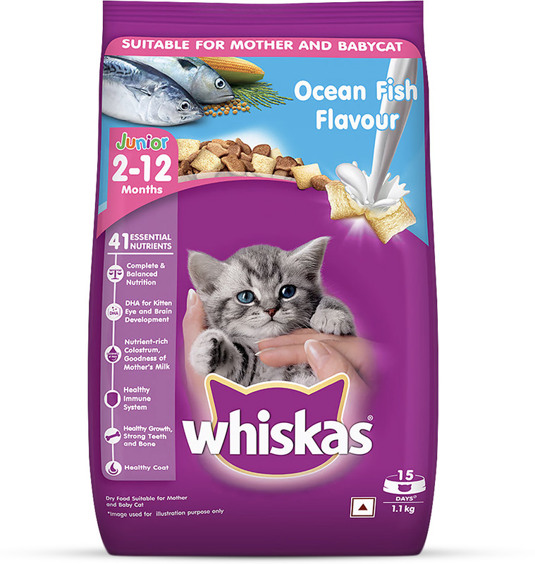 Whiskas Kitten (2-12 months) Ocean Fish With Milk Dry Food- 1.1 kg Fish 1.1 kg Dry Young Cat Food