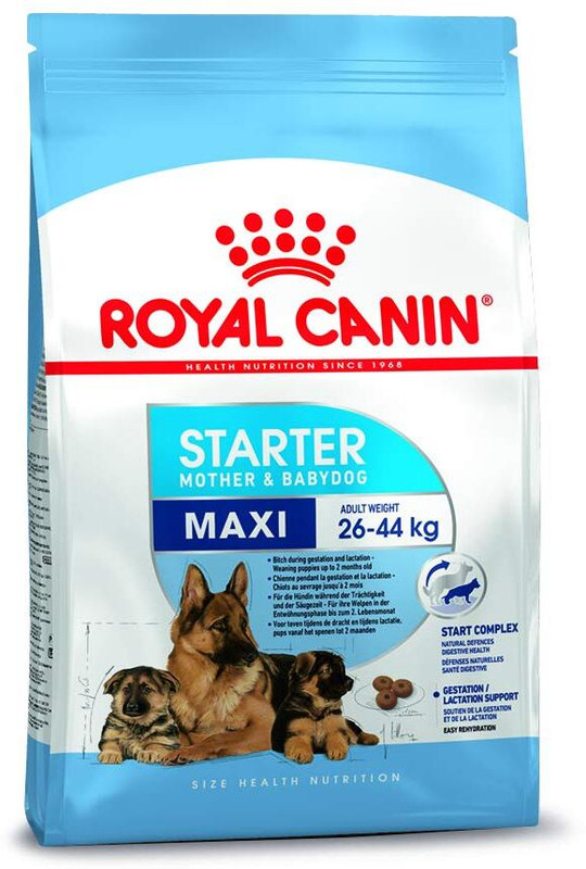 Royal Canin Maxi Starter Dry Dog Food Meat 1 kg Dry Young Dog Food