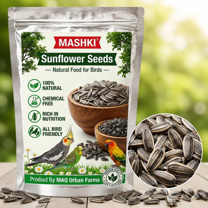 MASHKI 500 Grams Sunflower Seeds for Bird, Sunflower for All Birds Food 0.5 kg Dry Adult, Senior Bird Food
