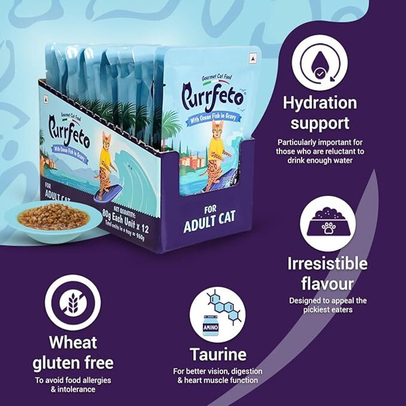 Purrfeto Adult Wet Cat Food | Ocean fish in Gravy |80 GMS 0.8 kg (12x0.07 kg) Wet All Life Stages Cat Food