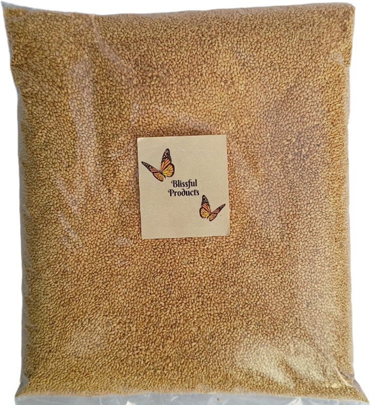 Blissful Products Bird Food Yellow Millet Kangni 1.8 Kg 1.8 kg Dry Adult Bird Food