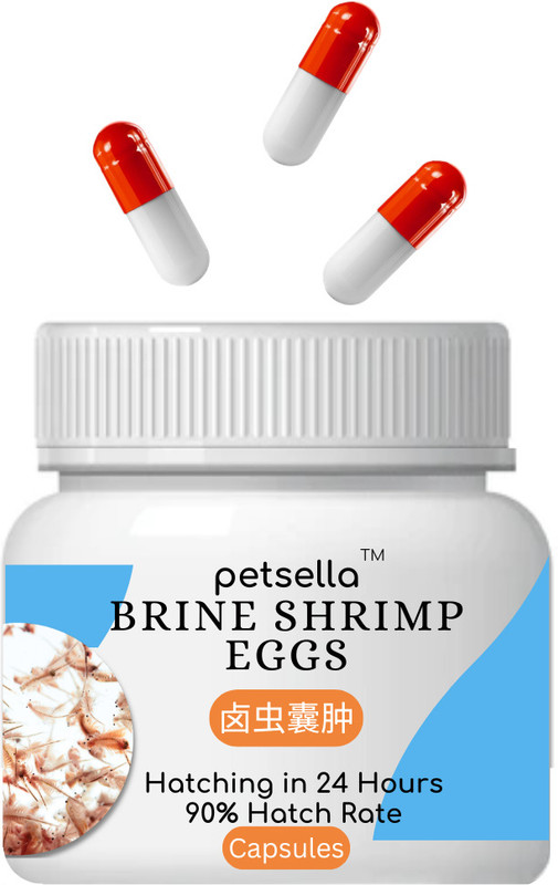 Petsella Artemia Brine Shrimp Eggs Capsules with 90% Hatch Rate in 24 Hours (10 Capsules) Fish 1.0E-4 kg Dry New Born, Young Fish Food