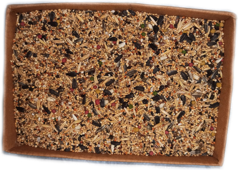 Peta Wizard love birds food 0.9 kg Dry Young Bird Food