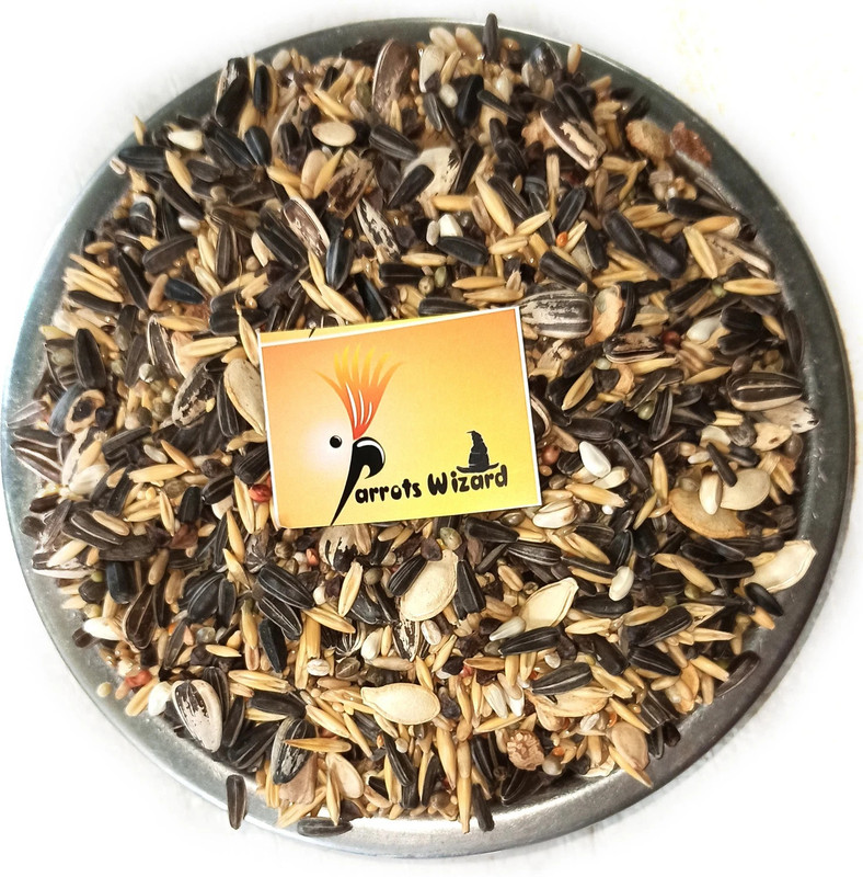 Parrots Wizard Sun Conure Parrot 0.45 kg Dry Adult, Young, Senior Bird Food