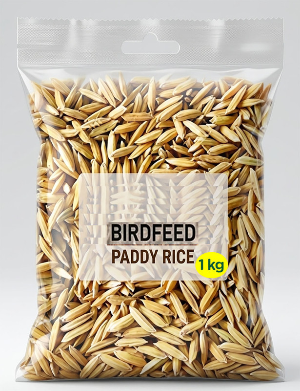 Skystar Special Birds Food for Conures, Cockatiels, African Grey, Macaws, Cockatoo,Dove Rice 1 kg Dry All Life Stages Bird Food