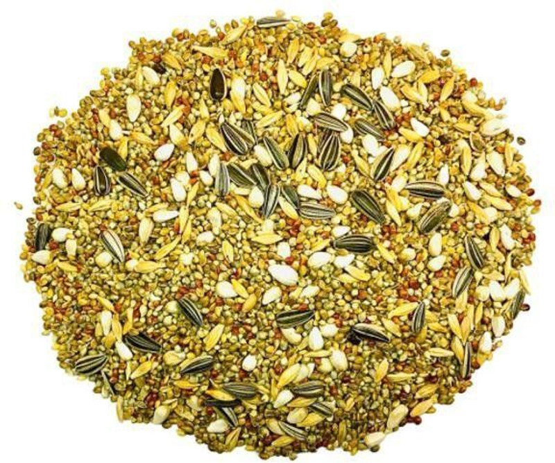 OrchidWala 1KG Mix Bird Feeder Mix Seeds for Medium to Small Birds 1 kg Dry Adult, Young, Senior Bird Food