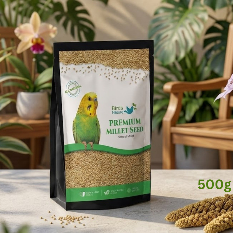 BirdsNature Premium Yellow Millet, Kang Seed Bird Food for Cocktail, Silver, Finches, Munias, Parakeets, Parrots,Quails, Native American Sparrows, Doves, Cardinals & Exotic Birds 500g 0.5 kg Dry New Born, Adult, Young, Senior Bird Food