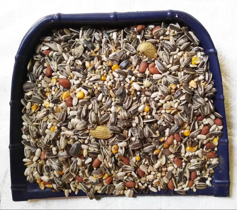 Parrots Wizard Mix Parrot Food 34 Types of Seed for Macaw, Cockatoo, African Gray & Other Birds 1.8 kg (2x0.9 kg) Dry Adult Bird Food