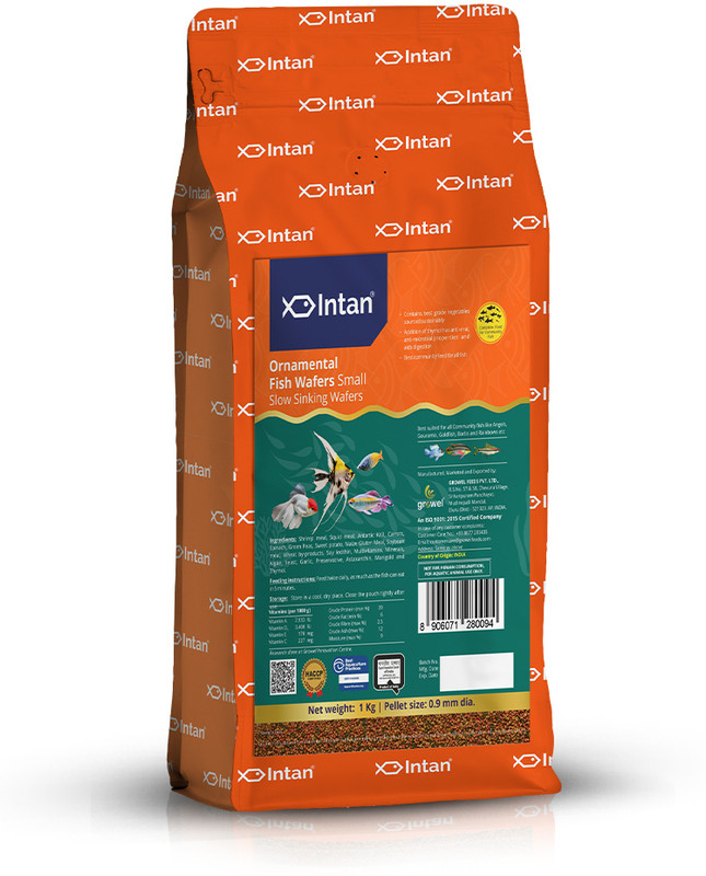 INTAN Ornamental Fish wafers small for Health & Growth | Big Pouch Dia 1 kg Fish 1 kg Dry Adult, New Born, Senior, Young Fish Food