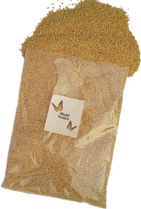 Blissful Products Yellow Millet Kangni Bird Food 1 Kg for all kind of Birds| 1 kg Dry Adult Bird Food