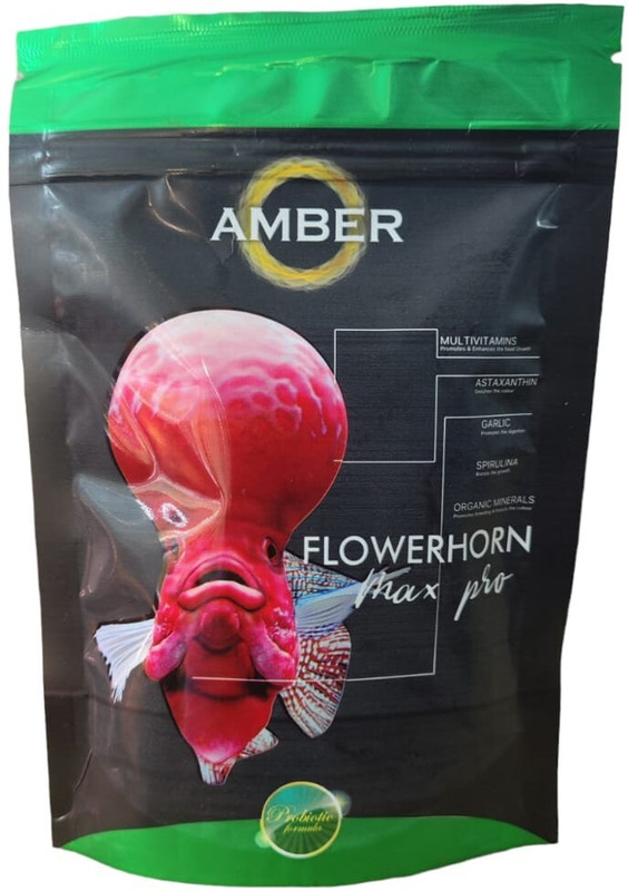 horizone royal flowerhorn fish food max plus 100gm Fish 0.1 kg Dry Adult Fish Food