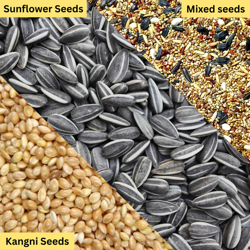 Pripton 3 in 1 Bird Food Combo, Kushum Seed, Sunflower Seed, Kangni Seed(250g+250g+250g) Nuts 0.75 kg (3x0.25 kg) Dry Adult, Young, Senior, New Born Bird Food