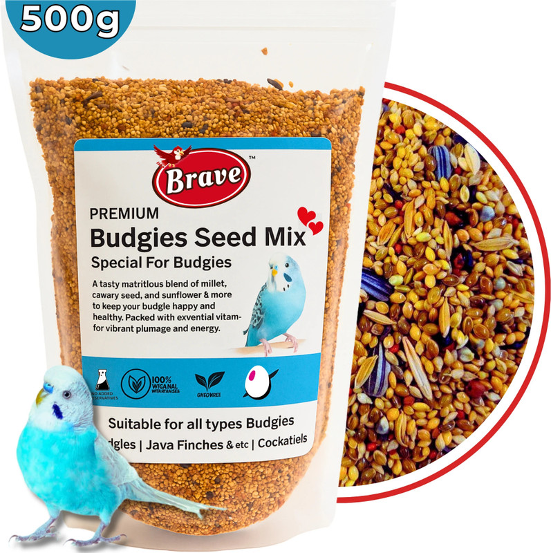 Brave Premium Budgie Birds Food Seed Mix 500g | Special for Budgies and LoveBirds Nuts 0.5 kg Dry Young, Adult, New Born Bird Food
