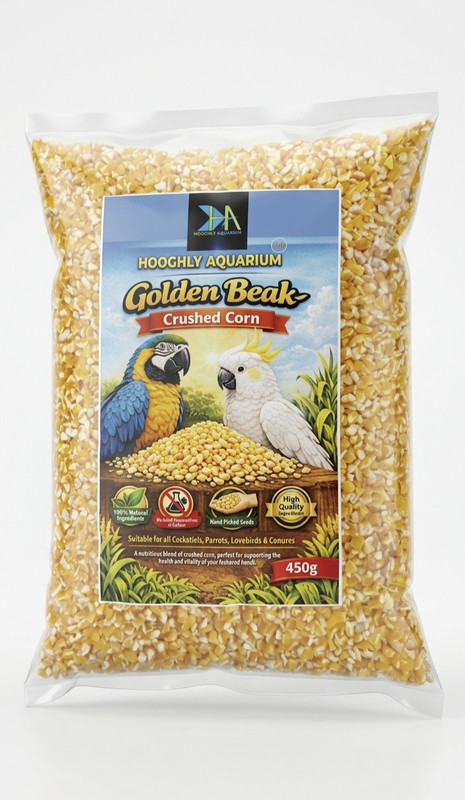 HOOGHLY AQURIUM Golden Beak Foxtail Millets (Kangni) Grain Feed for Pet Birds 0.45 kg Dry All Life Stages Bird Food
