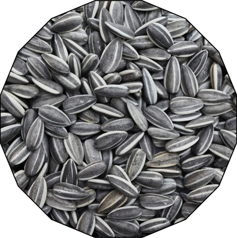 Bird feed Sunflower seed bird food for cocktails 0.9 kg Dry Adult, Senior, Young Bird Food