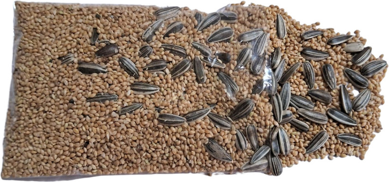 PETBUDDIES WORLD Quality kangni Seed Bird Food Foxtail Millet Seeds for Birds 2 KG Pack Fruit 2 kg Dry Adult, Senior, Young Bird Food