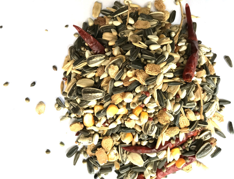 Nitishree Premium Macaws, Cockatoo, Big Parrots, Large Parrots and African Grey Parrot Bird Food Mix - 500 GMS Nuts 0.5 kg Dry Adult, Young, Senior Bird Food