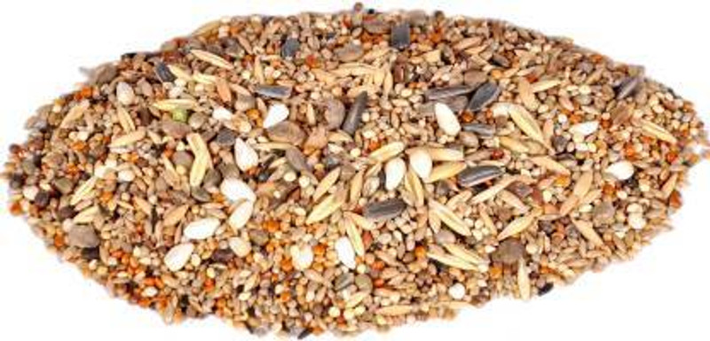 VM Mart Premium Pigeon Birds Seed Mix Daily Food 1Kg + 100gm Nuts 1.1 kg Dry Young, Adult, Senior Bird Food