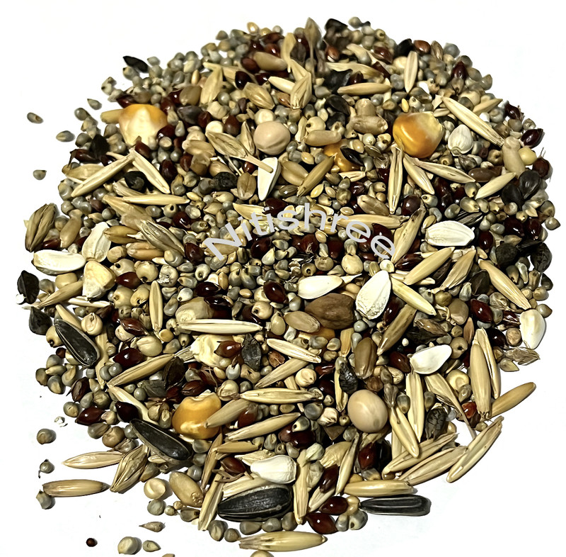 Nitishree 15 Seed Mix,Bird Feeder Refill for Outside Wild Birds,Sparrow,Doves,Pigeon–500gm Nuts 0.5 kg Dry New Born, Adult, Young, Senior Bird Food