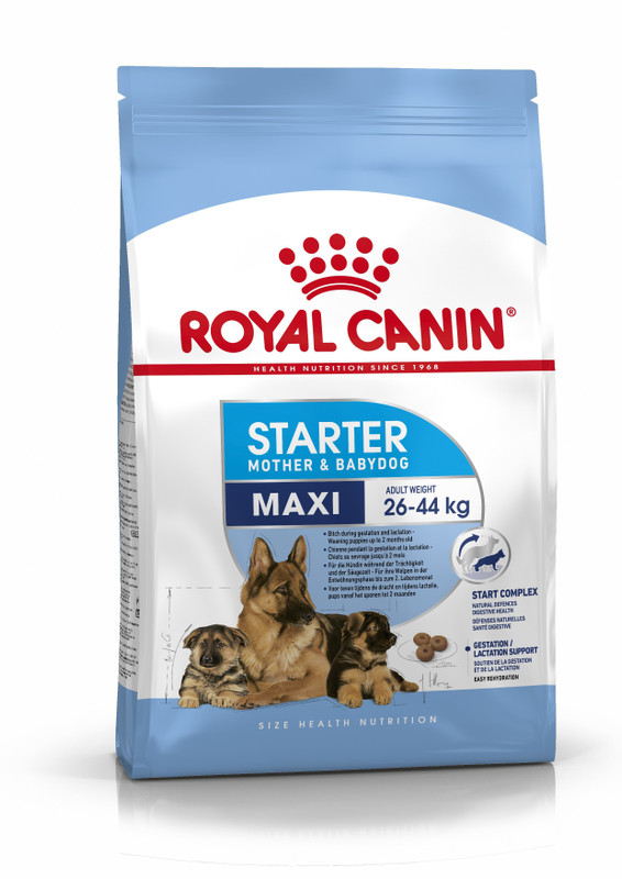 Royal Canin Mini Starter Mother 4 kg Dry New Born Dog Food