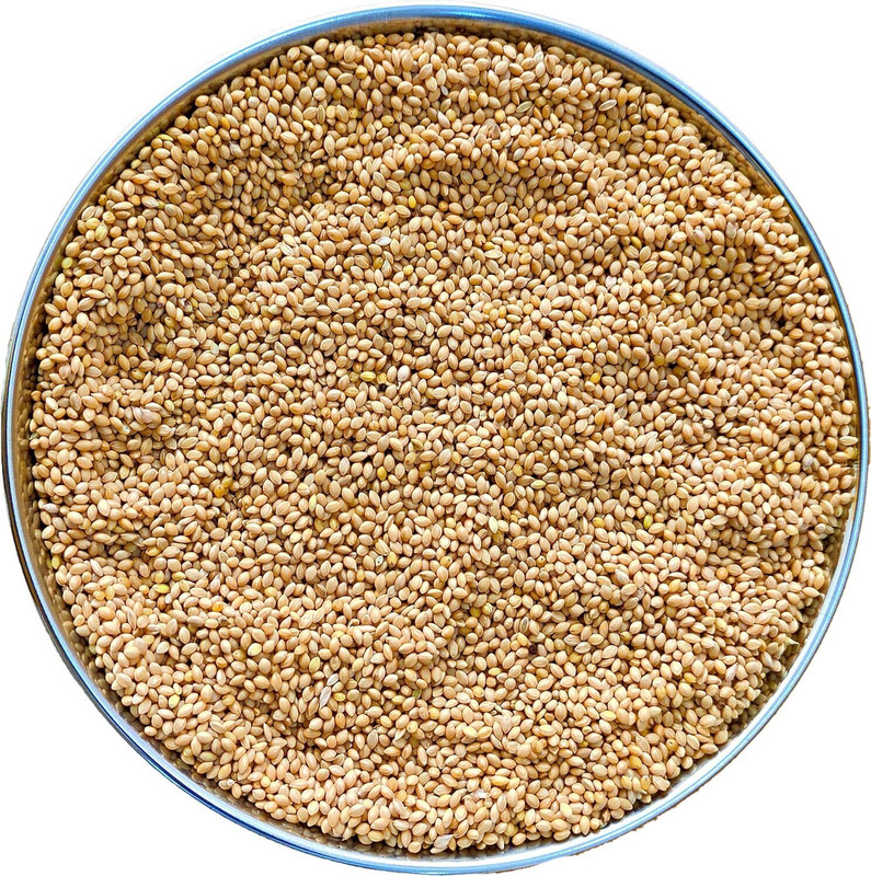Jj clawsome Premium Natural Canary Seeds High Quality Bird Feed for Canary 900gm 0.9 kg Dry Adult Bird Food