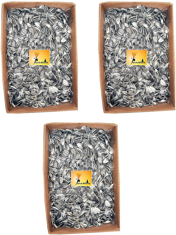 The Parrot Food Sunflower Seed for African Grey & Indian Ringneck Parrot, Macaw bird Nuts 0.9 kg Dry Adult, Young, Senior Bird Food