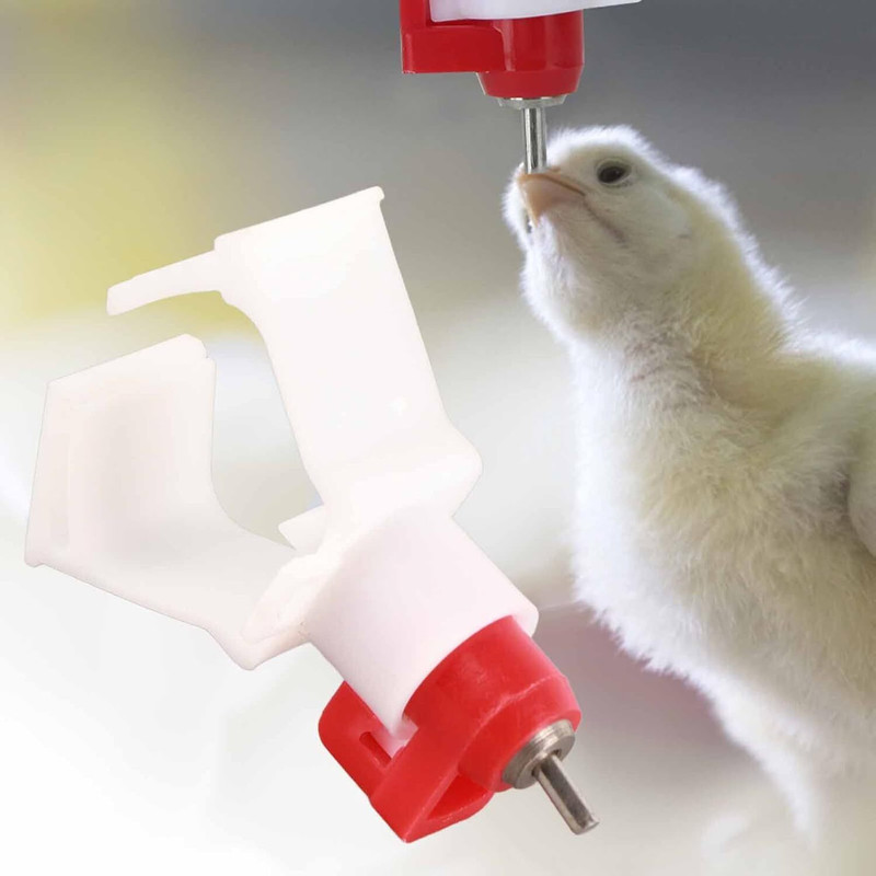 Bethlehem Chicken poultry automatic drinker(Plastic)
