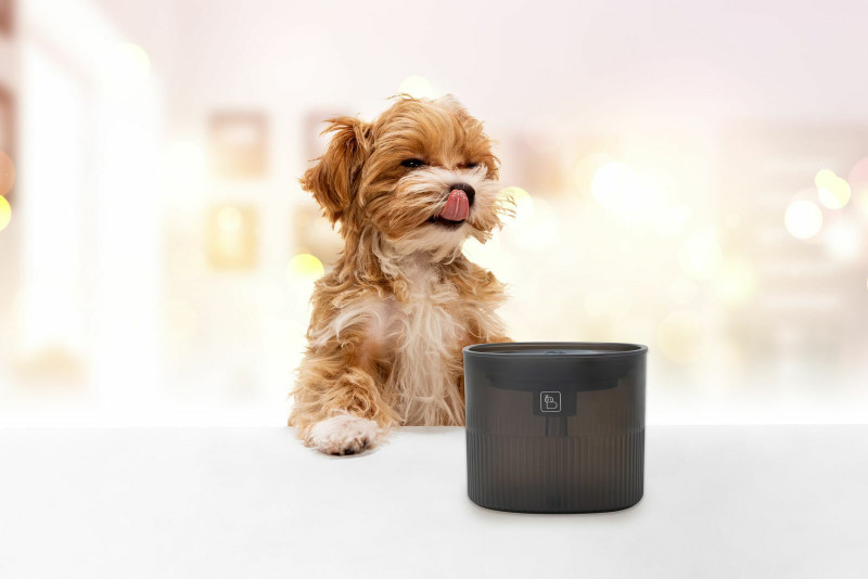 Baybot Pet Fountain for Cats and Dogs Ultra Silent Operation with Charcoal Filter(Polypropylene)