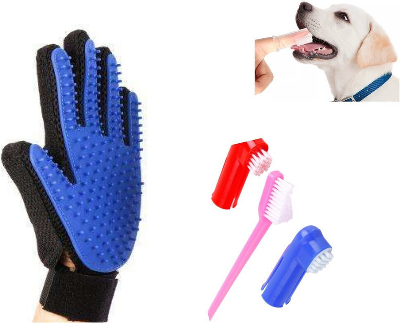 Regiis Pet Grooming Starter Pack (Gloves + Toothbrush Pack of 2) Grooming Gloves for Dog & Cat(Multicolor, Medium)