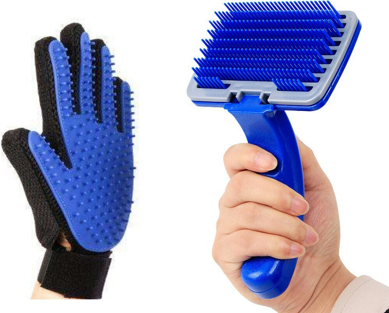 Regiis Gloves + Slicker Brush (Pack of 2) Grooming Gloves for Dog & Cat(Black, Blue, Medium)